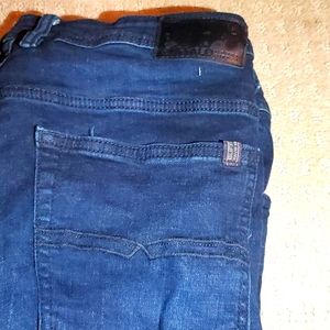 Buffalo david bitton